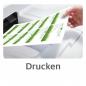 Preview: business cards 85 x 54mm 260 g / m2 white, 10 per sheet, 25 sheets - MEDIA78 / C32016-25